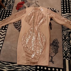 Ashley Stewart 22/24 dress nude